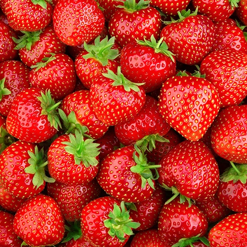 Fraise - Cléry