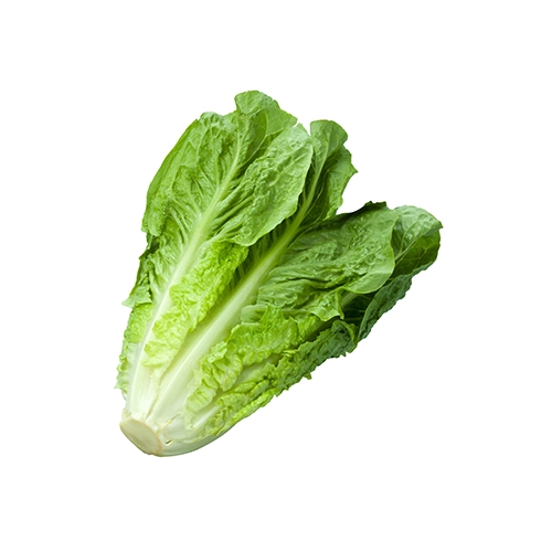 Romaine