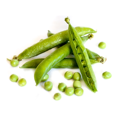Petit pois