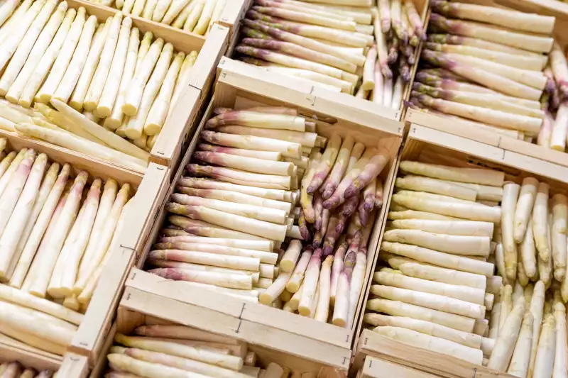 Asperge