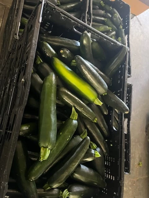 Courgette second choix