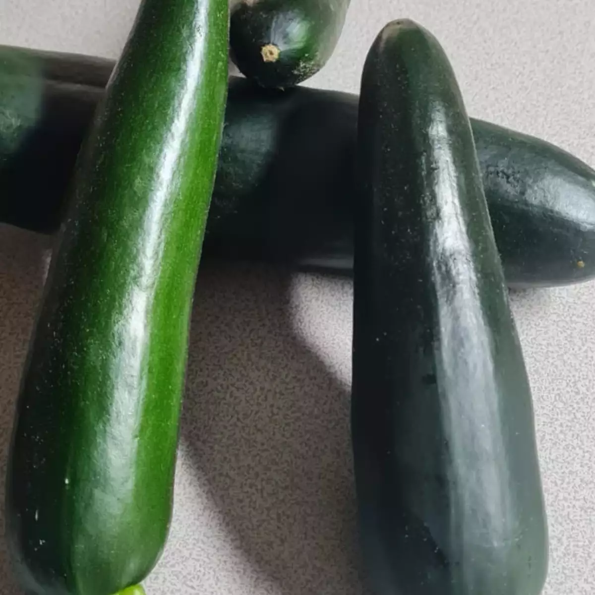 Courgette second choix