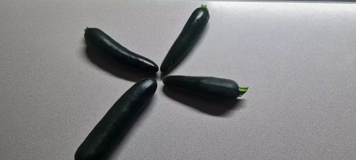 Courgette second choix