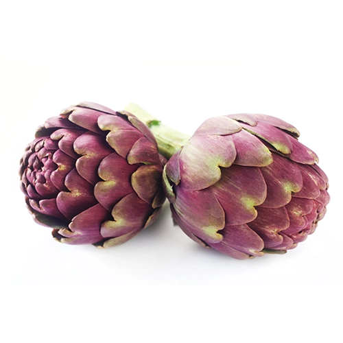 Artichaut violet