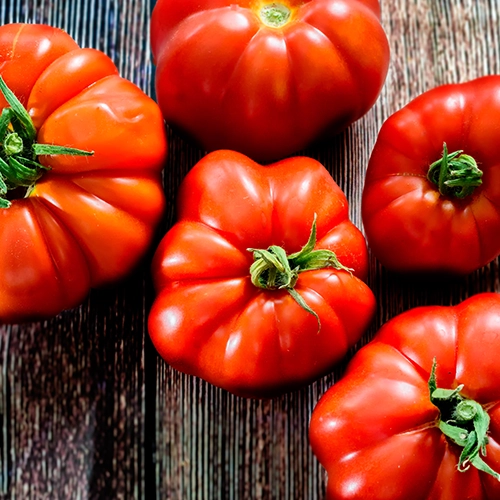 Tomate marmande