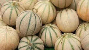 Melon