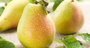 Poire Guyot