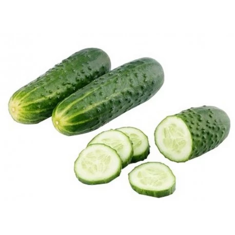 Concombre Noa