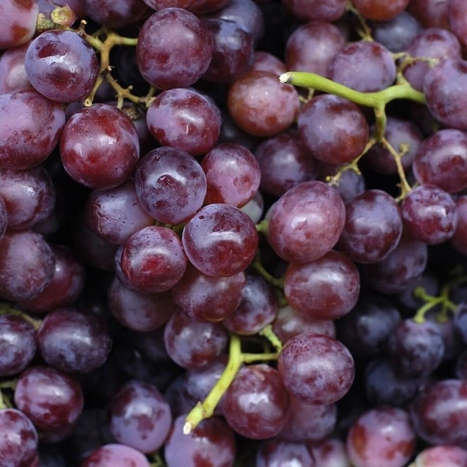 Raisin Muscat