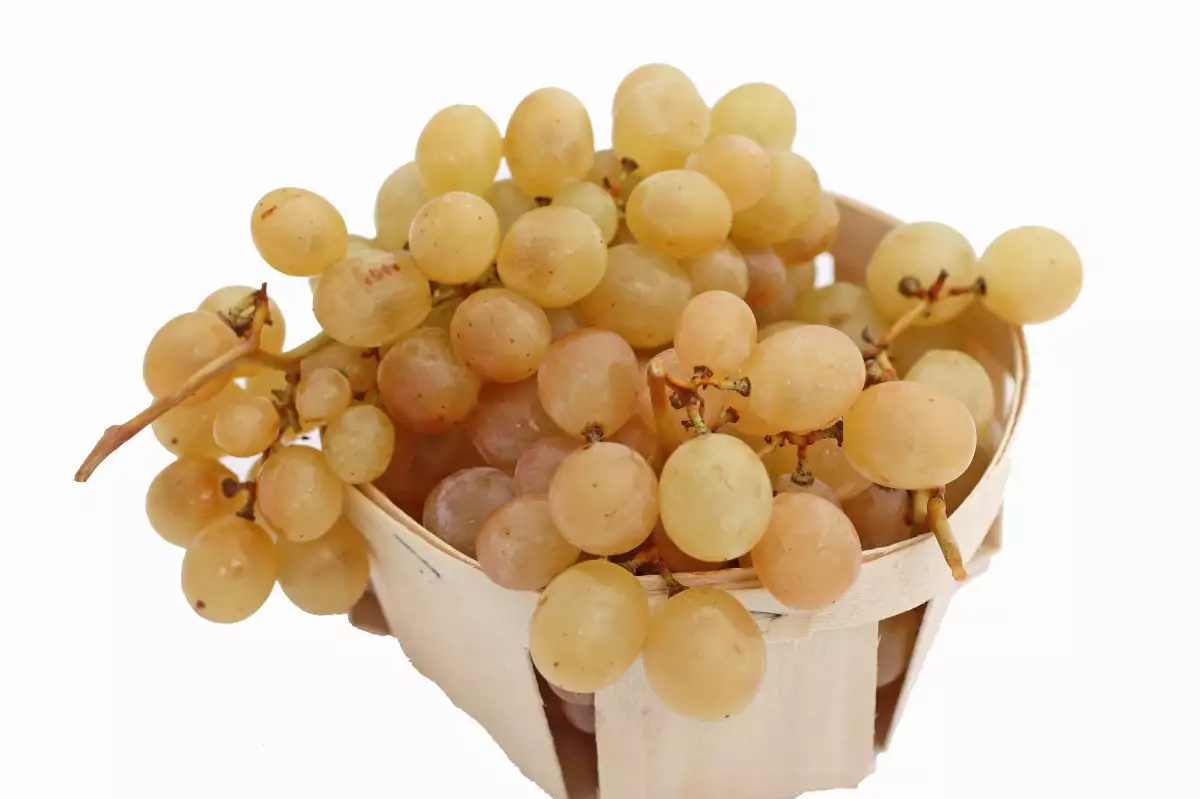 Raisin Chasselat